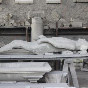 The Bodies from Pompeii and Herculaneum