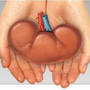 Living kidney donation by non-relatives